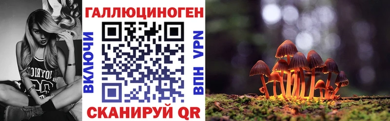 магазин    Данилов  дарк нет формула  Псилоцибиновые грибы мицелий 