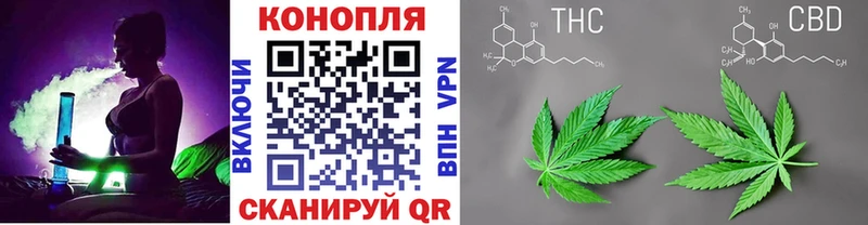 Бошки Шишки VHQ  купить   Данилов 